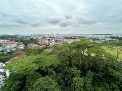 The Skywoods (D23), Condominium #567737061